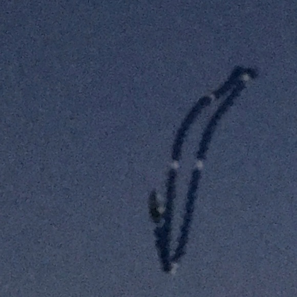 Meet your Posher, Patsy - Picture 1 of 1